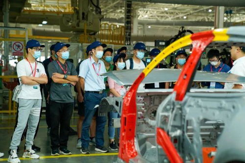 探访完肇庆工厂，小鹏和特斯拉、蔚来、理想的车主怎么看P7？——申梦汽车视角
